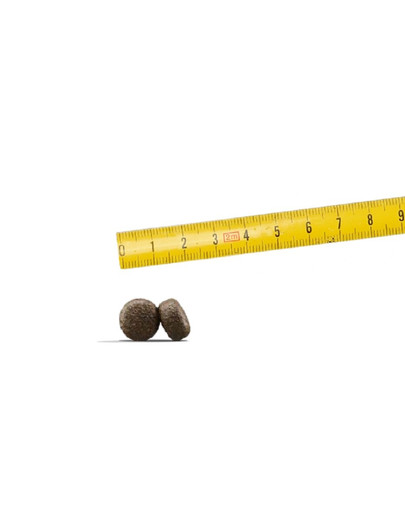 JOSERA Lamb & Rice 5 x 900g s s jemnou baraninou