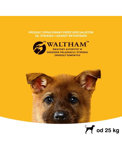 PEDIGREE Junior pre veľké plemená s kuracím mäsom a ryžou 15 kg