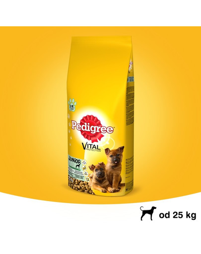 PEDIGREE Junior pre veľké plemená s kuracím mäsom a ryžou 15 kg