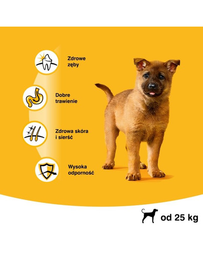 PEDIGREE Junior pre veľké plemená s kuracím mäsom a ryžou 15 kg