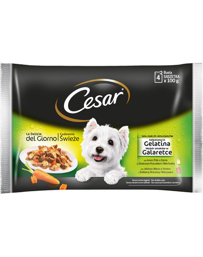CESAR Výber príchuťou v želé 52 x 100g
