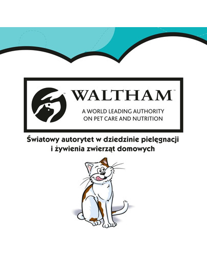 Dreamies s lososom 0.06 kg x6