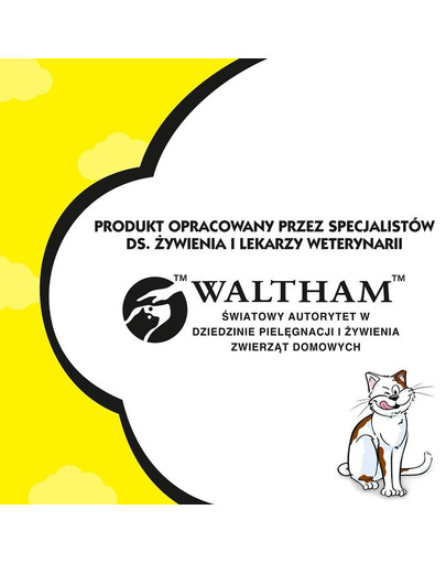 Dreamies Dreamies s  lososom 0.06 kg