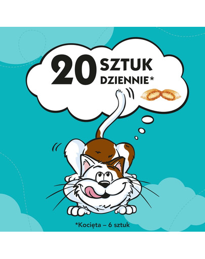 Dreamies s lososom 0.06 kg x6