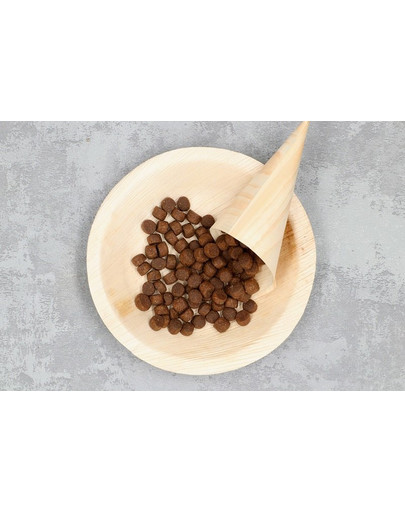 COUNTRY&NATURE Granule pre psov z jahňacieho  a morčacieho mäsa 9 kg