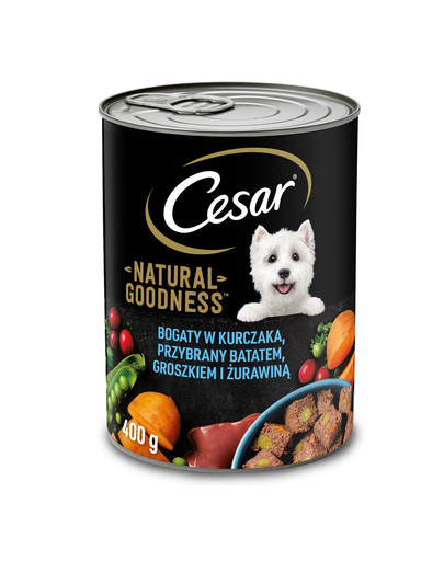 CESAR 12x400g Konzerva pre dospelých psov