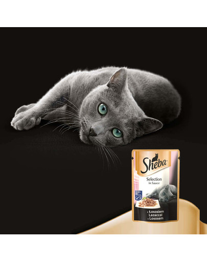 SHEBA Cuisine kapsička pre mačky losos 85 g