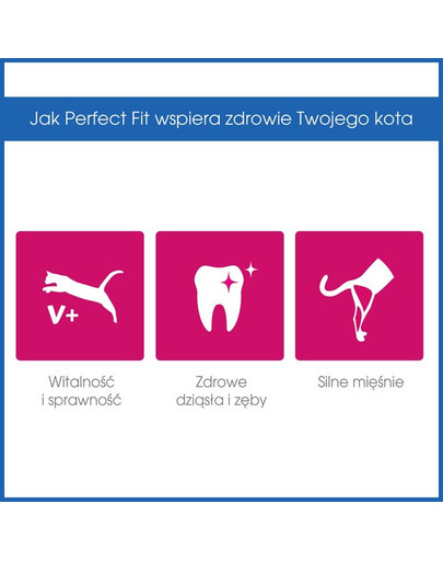 PERFECT FIT Adult 1+ Bogaty w Kurczaka 7kg