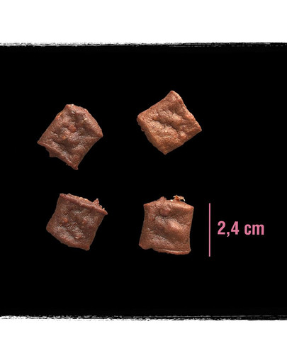 CRAVE Pochúťka s lososom 55g