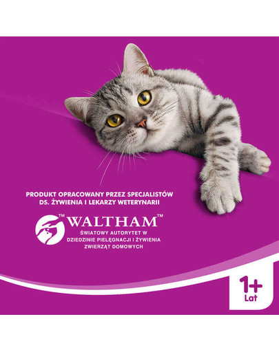 WHISKAS Adult kurča v želé 100 g