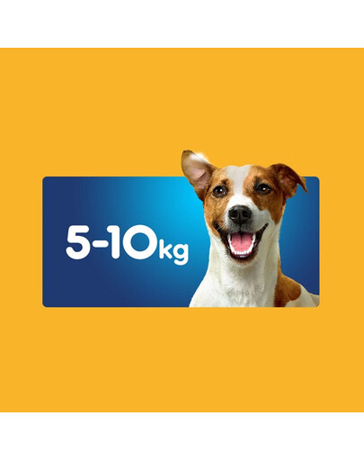 PEDIGREE DentaStix Daily Fresh  28x110g