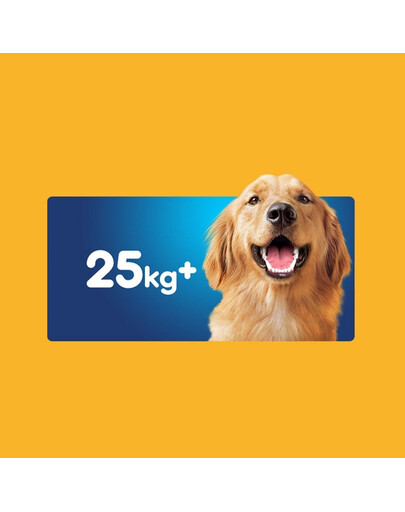 PEDIGREE DentaStix Daily Fresh 16x270g pre veľké plemená psov