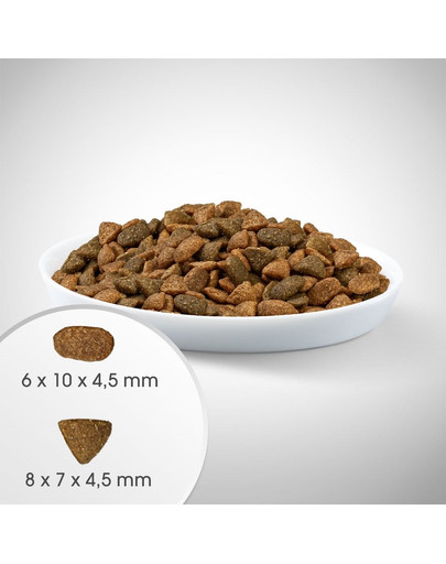 PERFECT FIT Active 1+ s hovädzím pre dospelé mačky 7 kg