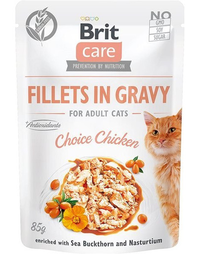 BRIT Care Fillets in Jelly 24 x 85 g