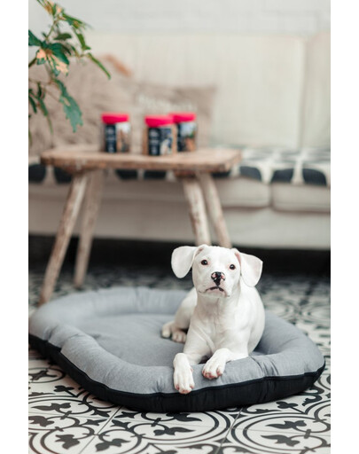 FERA Sky Pontoon pelech pre psov S 74 x 46 cm