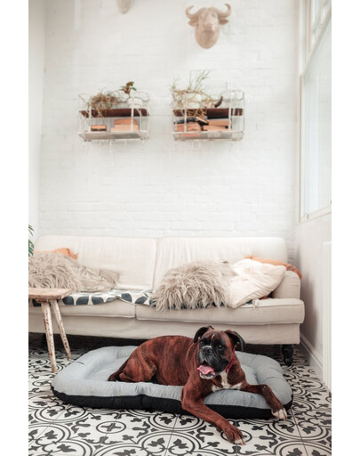 FERA Sky Pontoon pelech pre psov S 74 x 46 cm