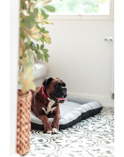 FERA Sky Pontoon pelech pre psov S 74 x 46 cm