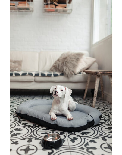 FERA Sky Pontoon pelech pre psov S 74 x 46 cm