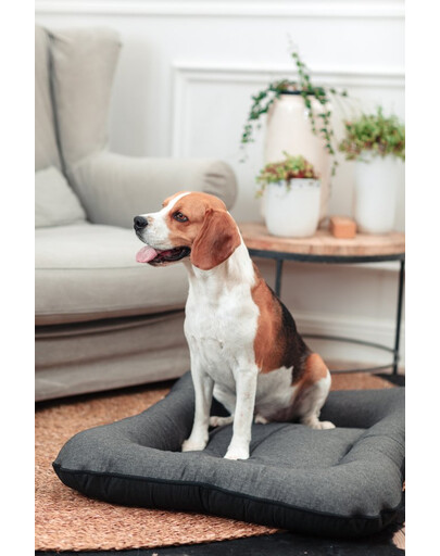 FERA Sunset Ponton legowisko dla psa XL 114 x 83 x 10 cm