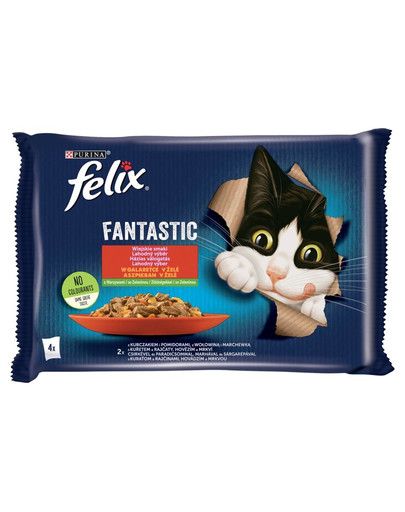 FELIX FANTASTIC Krmivo pre mačky  v želé (kura s paradajkami, hovädzie mäso s mrkvou) 4x85 g