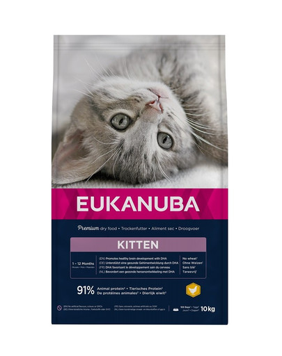 EUKANUBA Cat Kitten All Breeds Healthy Start Chicken & Liver 10 kg