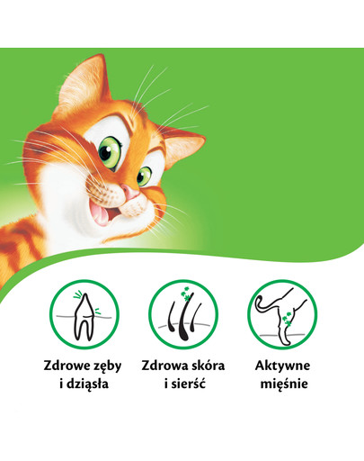 KITEKAT Hovädzie a zelenina 12 kg