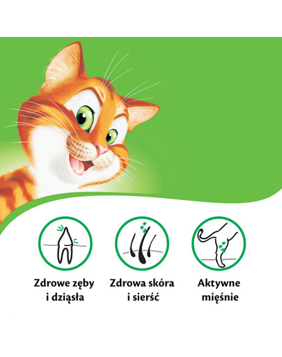 KITEKAT Kuracie a zelenina 12 kg