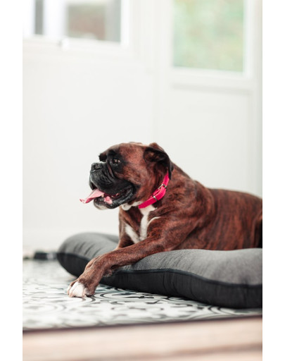 FERA Sunset Ponton Pelech pre psa M 82 x 57 x 10 cm