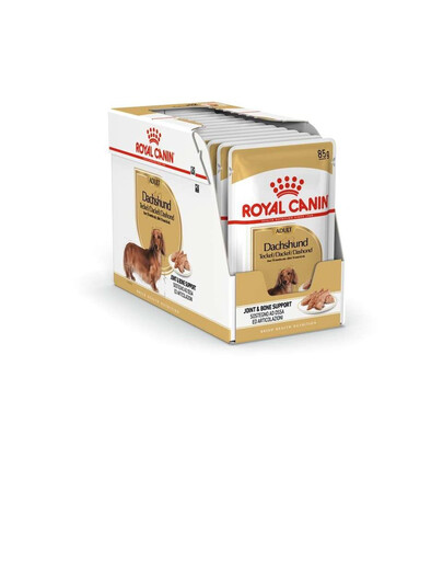 ROYAL CANIN Jazvečík Adult 48x85g