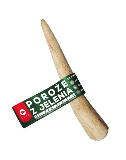 MACED Jelenie parožie M