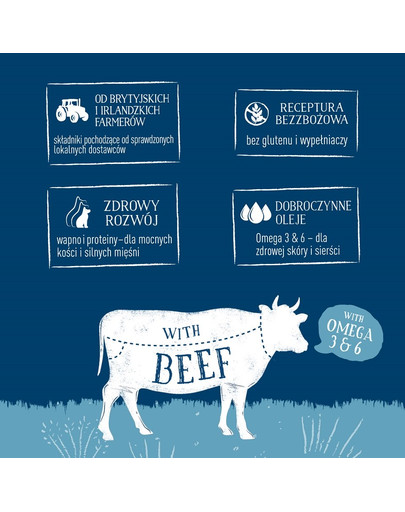 BUTCHER'S Original Junior s hovädzím 400g