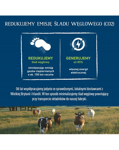 BUTCHER'S Original Junior s kuracím 400g