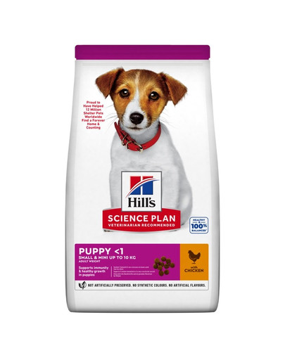 HILL'S Science Plan Canine Puppy Small & Mini s kuracím mäsom 6 kg