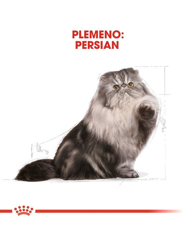 ROYAL CANIN Persian Adult 400 g granule pre dospelé perzské mačky