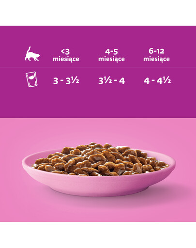 WHISKAS Junior klasické krmivo kuracie a hovädzie mäso v omáčke 4x85g