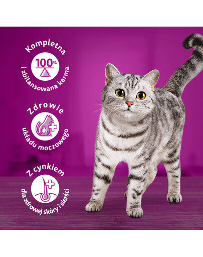 WHISKAS Adult 300g krmivo pre dospelé mačky s lahodným tuniakom