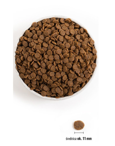 ACANA Puppy & junior dog 17 kg