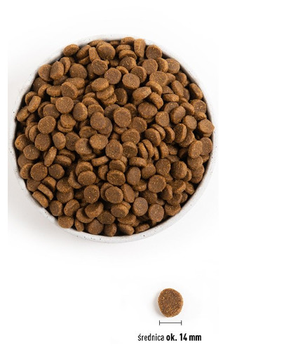 ACANA Adult Sport Agility 11.4 kg