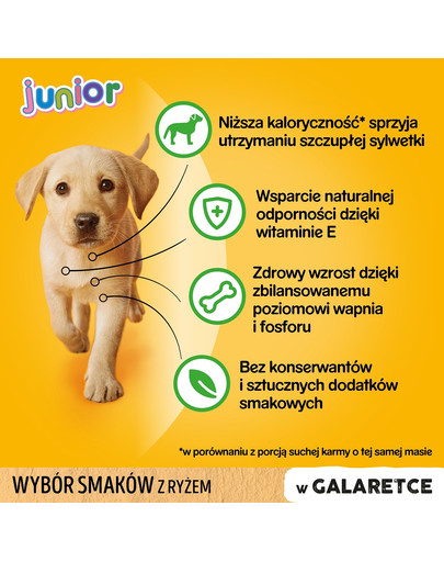 PEDIGREE Pedigree Junior v želé 48x100g