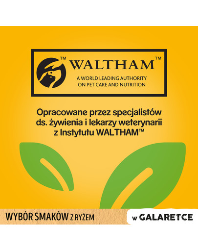 PEDIGREE Pedigree Junior v želé 48x100g