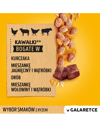 PEDIGREE Pedigree Junior v želé 48x100g
