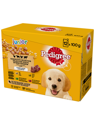 PEDIGREE Pedigree Junior v želé 48x100g