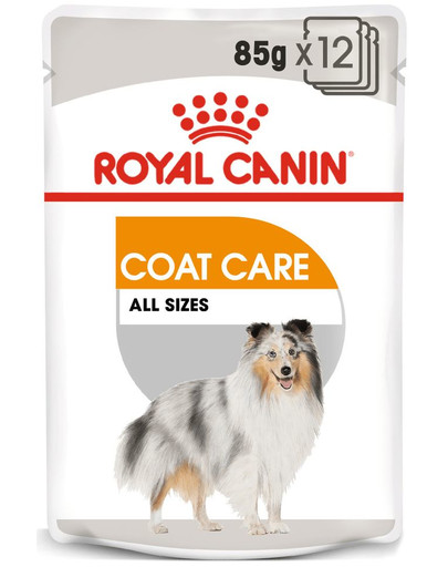 ROYAL CANIN Coat Care 12 x 85 g