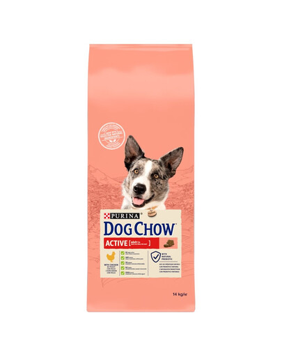 NESTLE Purina dog chow active chicken 14 kg