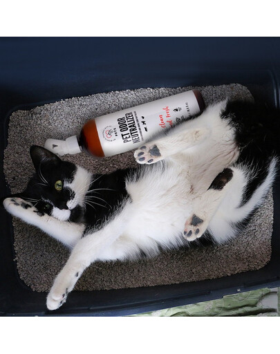 PETS Odor Neutralizer neutralizator zapachów 500 ml