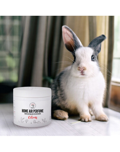 PETS Home Mist Perfume Citrus 170 ml neutralizátor zápachu