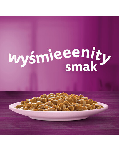 WHISKAS Adult Losos v omáčke 28x85g