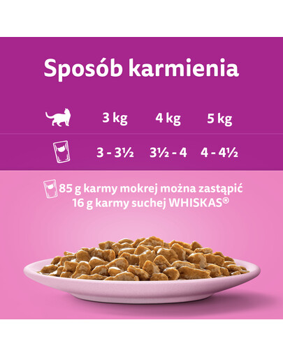WHISKAS Adult Losos v omáčke 28x85g