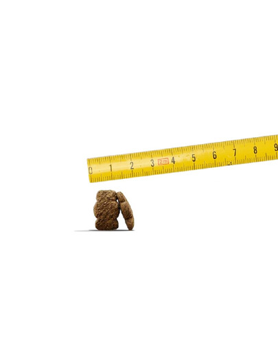 JOSERA Dog Kids Junior 900 g