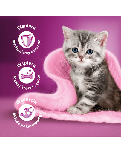 WHISKAS Junior kapsičky Classic Meals v omáčke s hovädzím a kuracím mäsom 52x85g